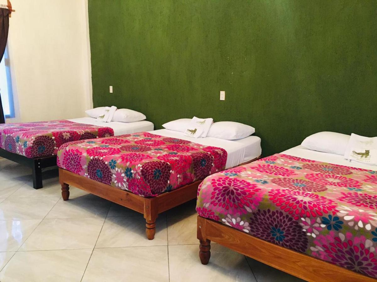 Hotel Maya Balam 우쉬푸힐 외부 사진