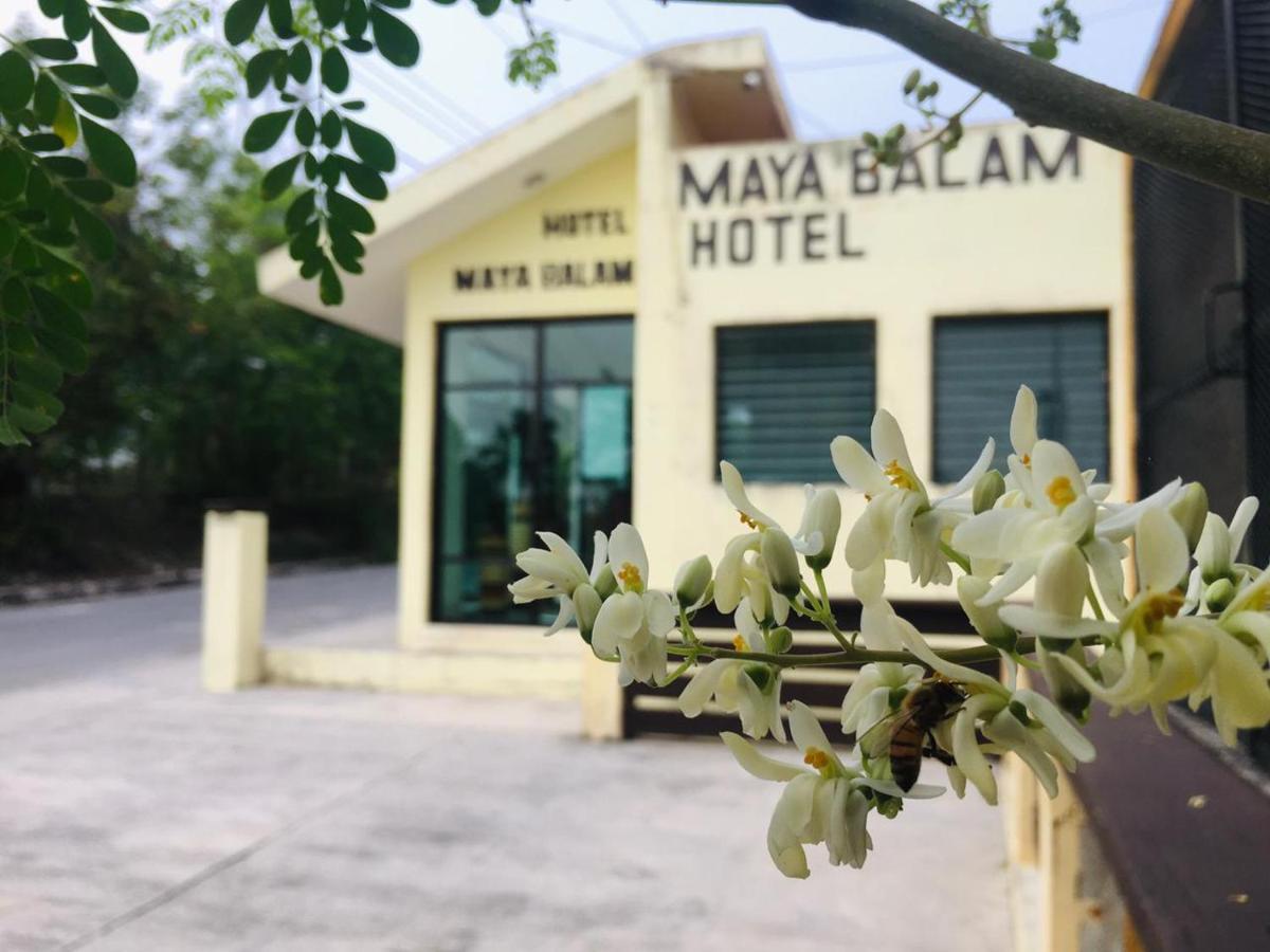 Hotel Maya Balam 우쉬푸힐 외부 사진